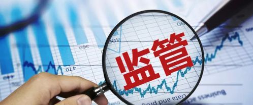 债券市场稳定成监管核心——金融委会议部署打击逃废债与深入市场调查